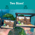 Desert Reptile Playset