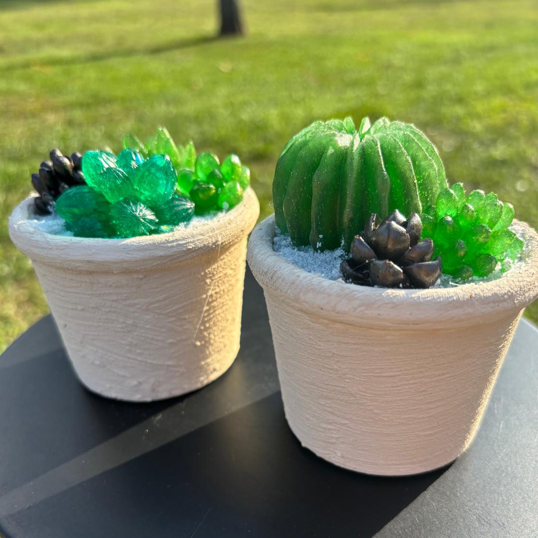 Undying Resin Succulent Arrangement