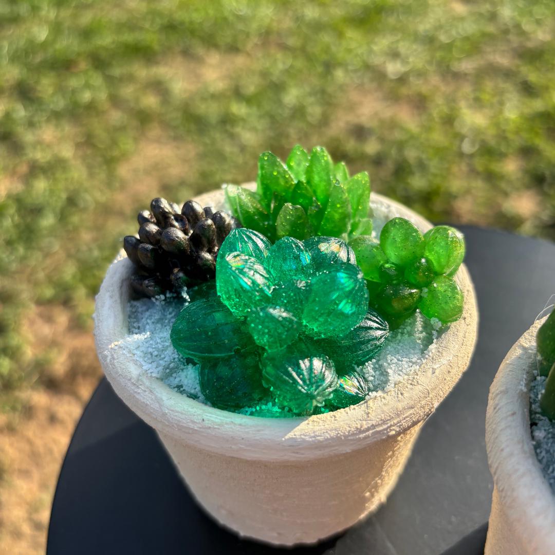 Undying Resin Succulent Arrangement