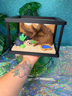 Desert Reptile Playset