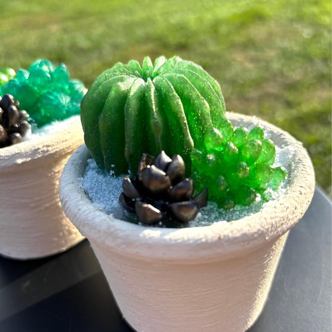 Undying Resin Succulent Arrangement