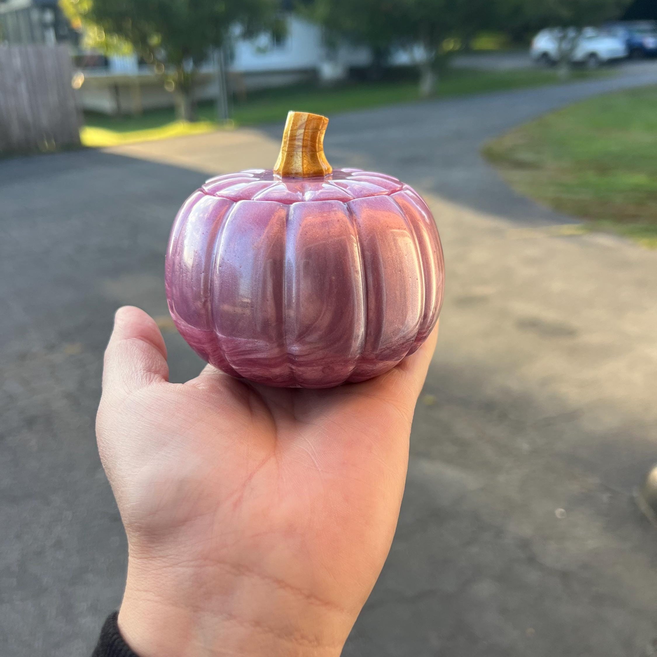 Rose Pink Pumpkin Jar