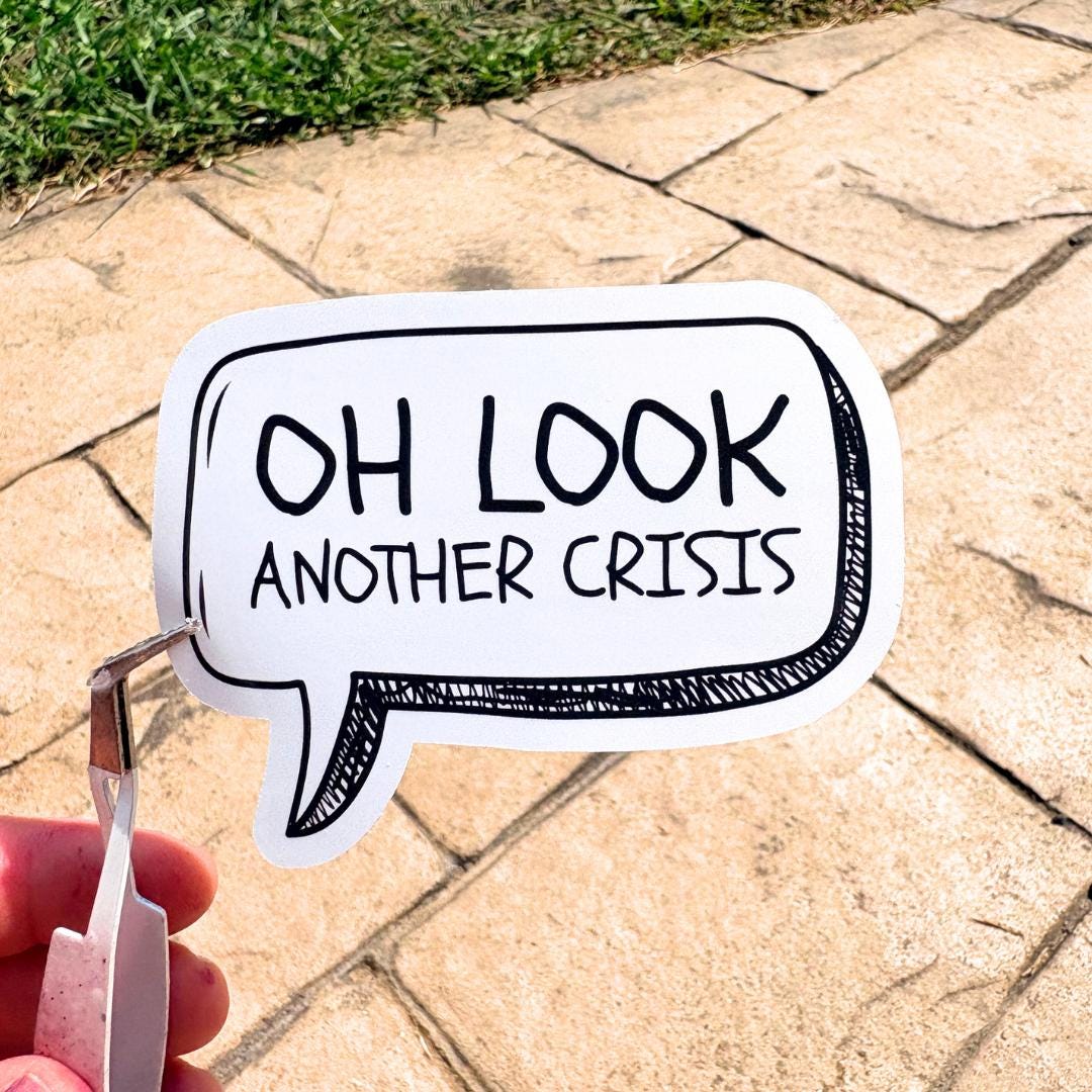 Oh Look Another Crisis Vinyl Sticker: Sarcastic Humor, Funny Sticker, Laptop Decal, Water Bottle Sticker, Political Humor