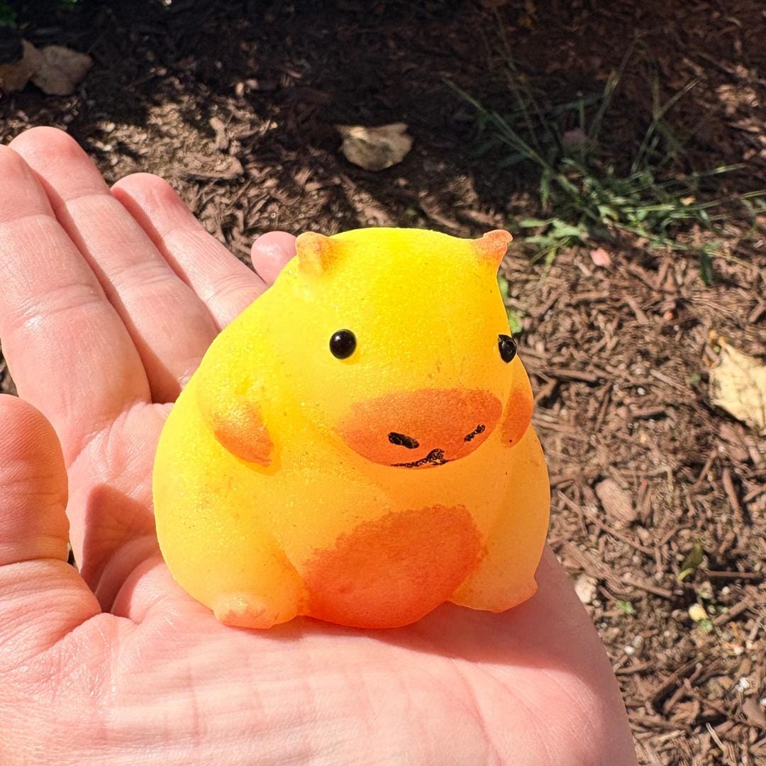 Capybara Taba Squishie Toy