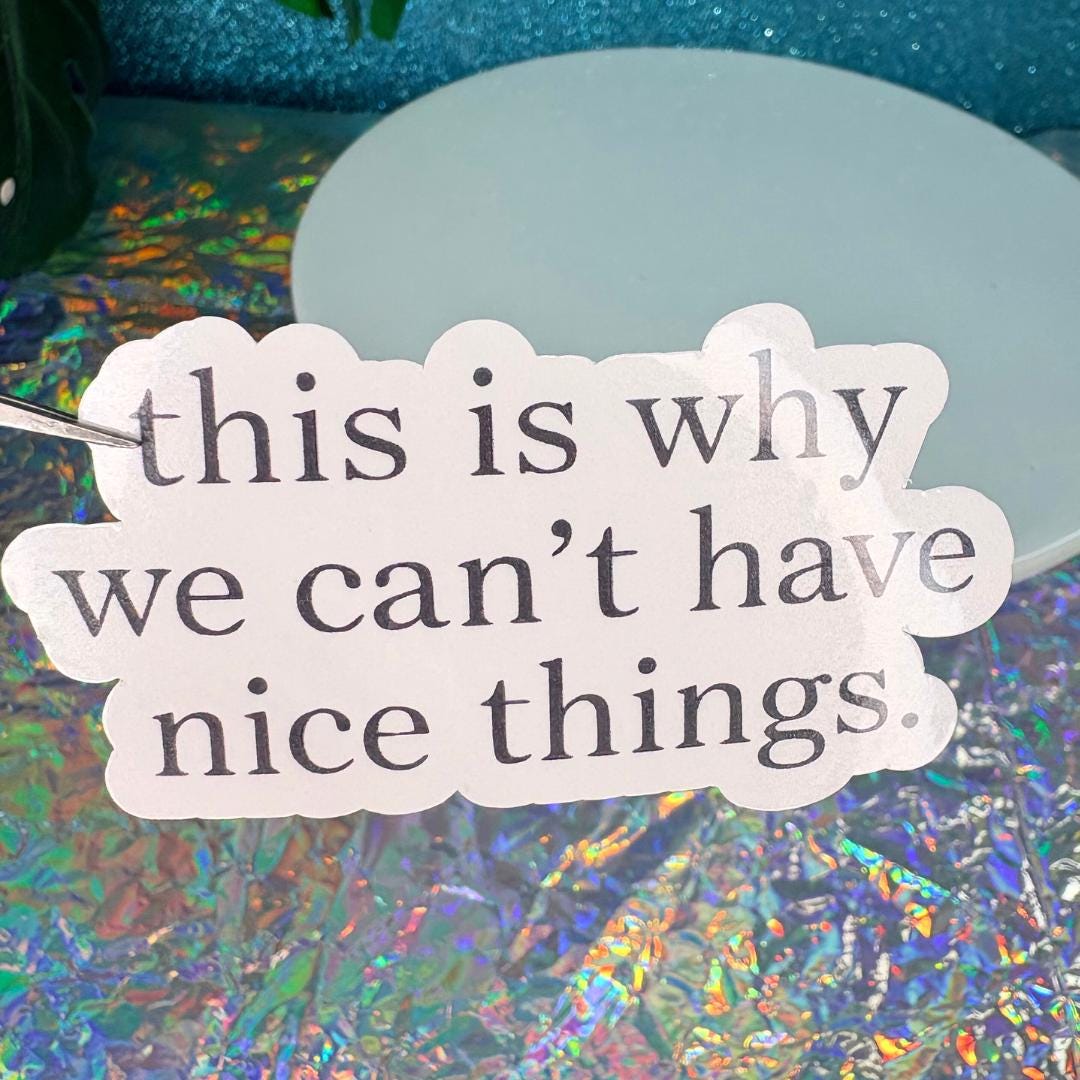 This Is Why We Cant Have Nice Things Vinyl Sticker