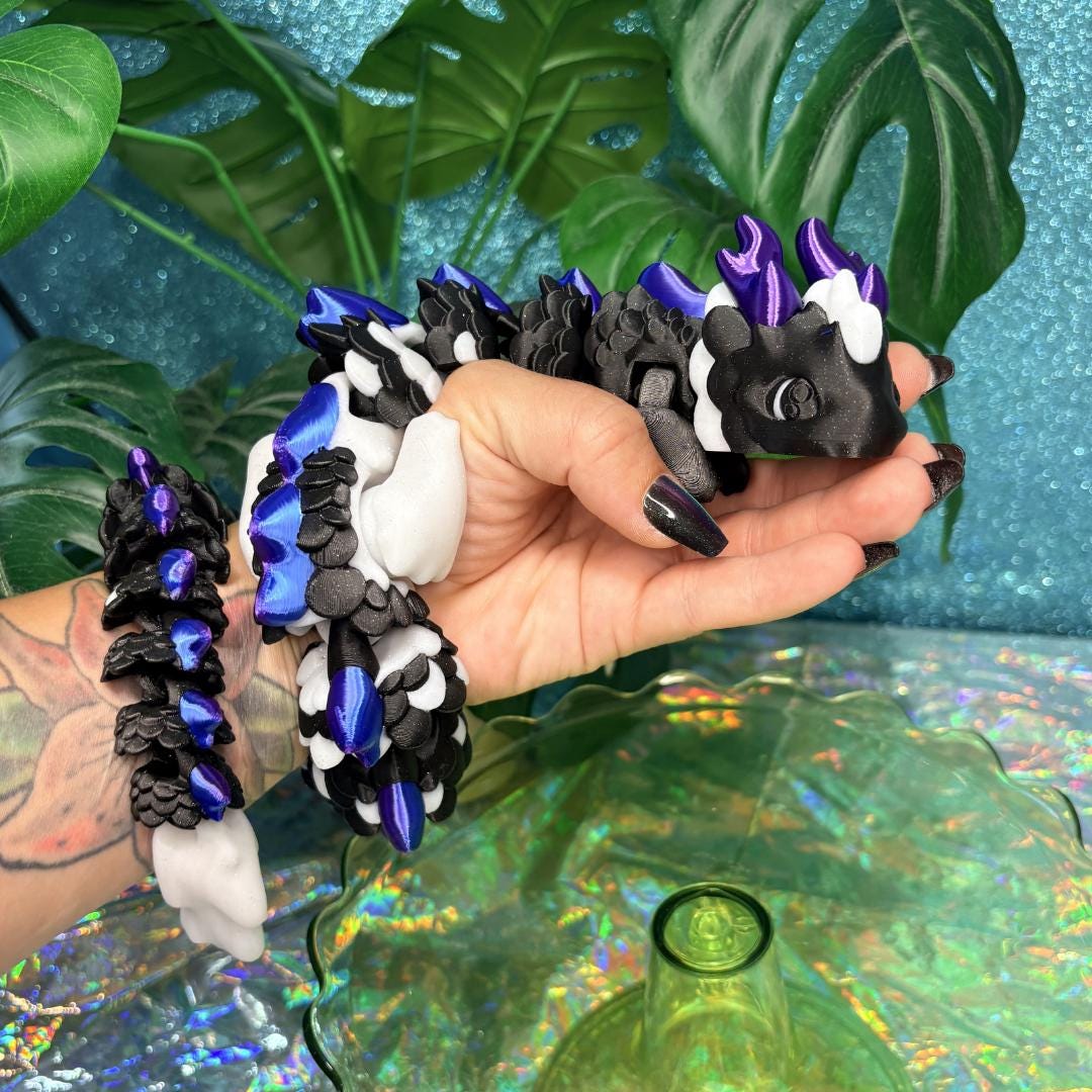 Black Midnight Kaida Dragon